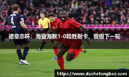 德意志杯：海登海默1-0险胜耐卡，晋级下一轮