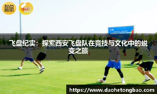mk体育官网入口