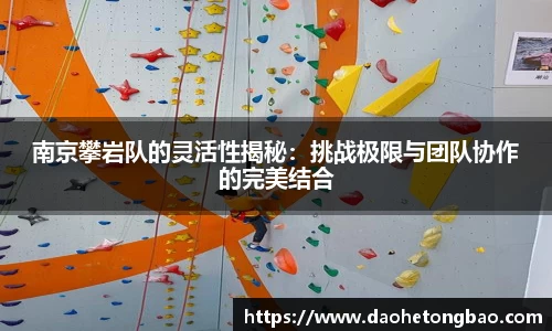 mk体育官网入口
