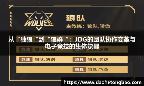 从“独狼“到“狼群“：JDG的团队协作变革与电子竞技的集体觉醒