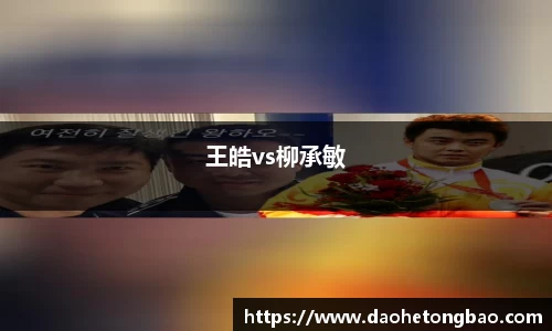 王皓vs柳承敏