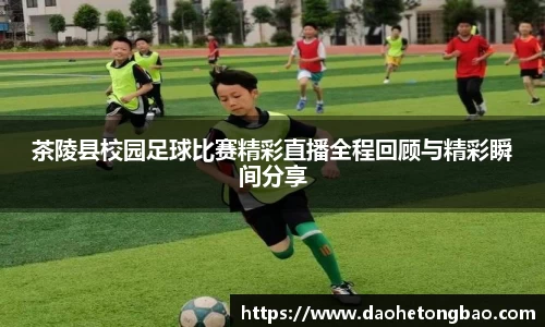 茶陵县校园足球比赛精彩直播全程回顾与精彩瞬间分享