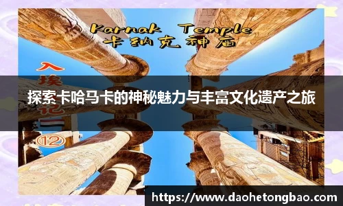 mk体育官网入口